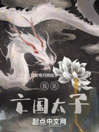 我是亡国太子封面