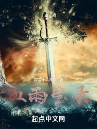 血雨宝录封面