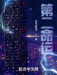 第二命运封面