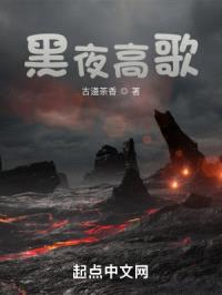 黑夜高歌封面
