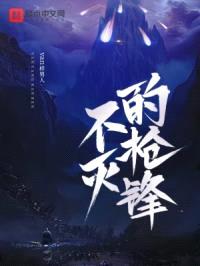 不灭的枪锋封面