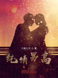 纯情男高封面