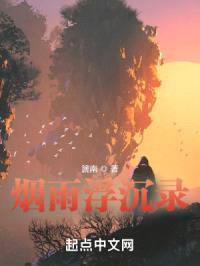 烟雨浮沉录封面