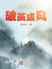 斗破之破茧成风封面