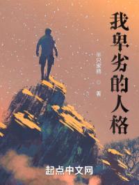 我卑劣的人格封面