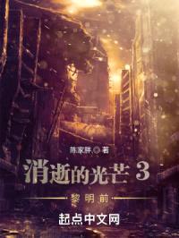 消逝的光芒3黎明前封面