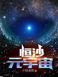 恒沙：元宇宙封面