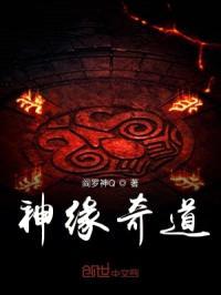 神缘奇道封面
