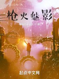 枪火魅影封面