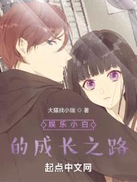 娱乐小白的成长之路封面