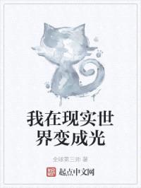 我在现实世界变成光封面