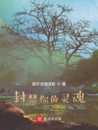 封禁你的灵魂封面