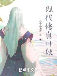 现代修真叶小秋封面