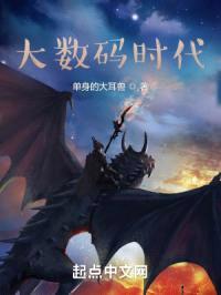 大数码时代封面