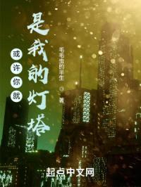 或许你就是我的灯塔封面