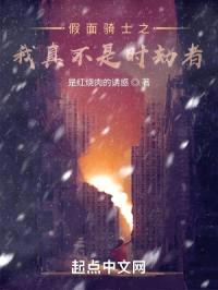 假面骑士之我真不是时劫者！封面