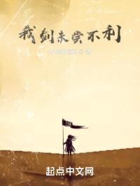 我剑未尝不利封面