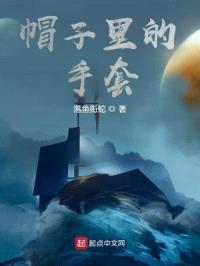 帽子里的手套封面