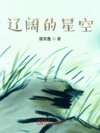 辽阔的星空封面