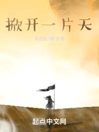 掀开一片天封面