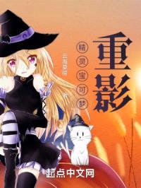 精灵宝可梦重影封面