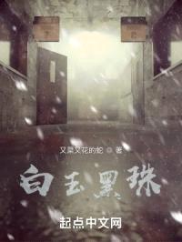 白玉黑珠封面