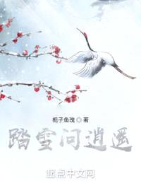 踏雪问逍遥封面