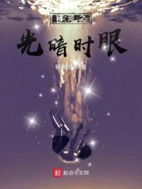 精灵之光暗时眼封面