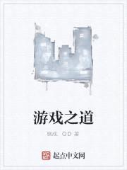 游戏之道封面