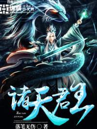 诸天君王封面