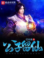 公子留仙封面