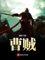 曹贼封面