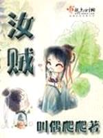汝贼封面