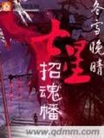 七星招魂幡封面