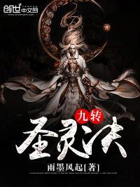 九转圣灵决封面