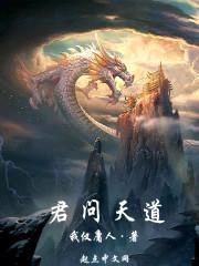 君问天道封面