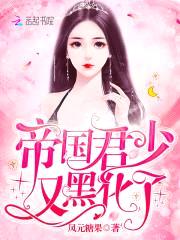 帝国第一宠：君少撩妻100式封面